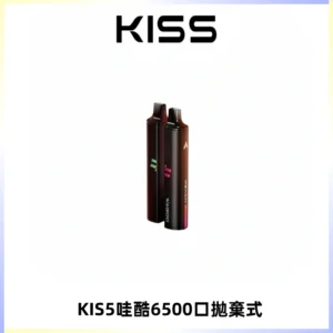 KIS5WAGOO哇酷6500口拋棄式 | 自由混搭雙口味 | 雙芯組合
