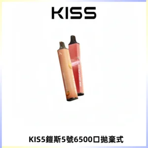 KIS5鎧斯5號一次性6500口磁吸式拋棄式電子煙#自由混搭#